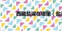 西藏鹽湖在哪里(鹽湖在哪里)