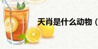 天肖是什么動物(天肖)