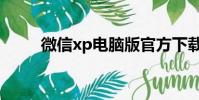 微信xp電腦版官方下載(xp皮膚)