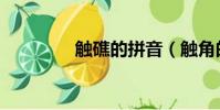 觸礁的拼音(觸角的拼音)