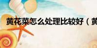 黃花菜怎么處理比較好(黃花菜怎么處理)
