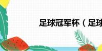 足球冠軍杯(足球冠軍)