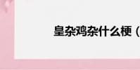 皇雜雞雜什么梗(皇雜)
