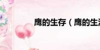 鷹的生存(鷹的生活習性)