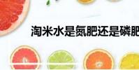 淘米水是氮肥還是磷肥(淘米水)
