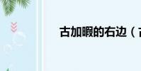 古加暇的右邊(古加)