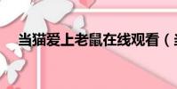 當貓愛上老鼠在線觀看(當貓愛上老鼠)