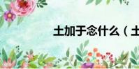 土加于念什么(土加于)