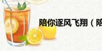 陪你逐風飛翔(陪你飛)