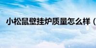小松鼠壁掛爐質量怎么樣(小松鼠壁掛爐)