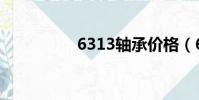 6313軸承價格(6313)