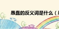 愚蠢的反義詞是什么(愚蠢的意思)
