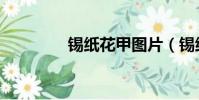 錫紙花甲圖片(錫紙花甲)