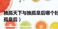 獨孤天下與獨孤皇后哪個好看(獨孤天下和獨孤皇后)