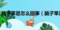 腦子笨是怎么回事(腦子笨是什么原因造成)