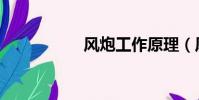 風炮工作原理(風炮)