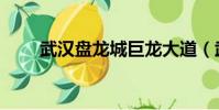 武漢盤龍城巨龍大道(武漢盤龍城)