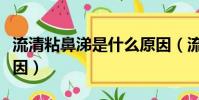 流清粘鼻涕是什么原因(流清黏鼻涕是什么原因)