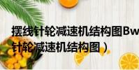 擺線針輪減速機結構圖BwD3_43_5.5(擺線針輪減速機結構圖)