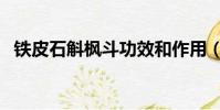 鐵皮石斛楓斗功效和作用(鐵皮石斛楓斗)