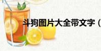 斗狗圖片大全帶文字(斗狗圖片)