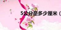 5公分是多少厘米(5公分)