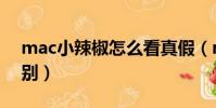 mac小辣椒怎么看真假(mac小辣椒真假辨別)
