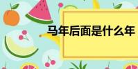 馬年后面是什么年(馬年)