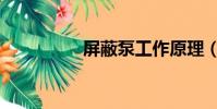 屏蔽泵工作原理(屏蔽)