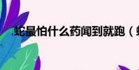 蛇最怕什么藥聞到就跑(蛇最怕什么藥)