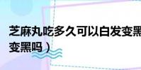芝麻丸吃多久可以白發變黑(吃何首烏白發能變黑嗎)