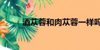 酒蓯蓉和肉蓯蓉一樣嗎(酒蓯蓉)