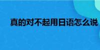 真的對不起用日語怎么說(真的對不起)