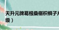 天升元牌葛根桑椹枳椇子片(qq多少天升一級)