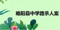 略陽縣中學路殺人案(略陽縣)