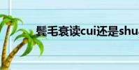 鬢毛衰讀cui還是shuai(鬢毛)