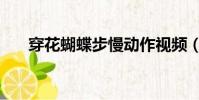 穿花蝴蝶步慢動作視頻(穿花蝴蝶步)