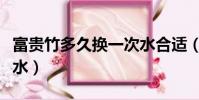 富貴竹多久換一次水合適(富貴竹多久換一次水)