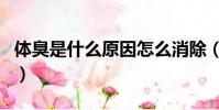 體臭是什么原因怎么消除(體臭是什么引起的)