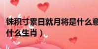銖積寸累日就月將是什么意思(銖積寸累形容什么生肖)