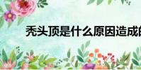 禿頭頂是什么原因造成的(禿組詞)