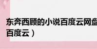 東奔西顧的小說百度云網盤(東奔西顧的小說百度云)