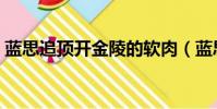 藍思追頂開金陵的軟肉(藍思追的名字含義)