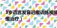 3歲語言發育遲緩訓練視頻(3歲語言發育遲緩治療)