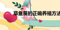 草魚苗的正確養殖方法(草魚苗)