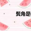 鬢角是哪里圖片（鬢角是哪里）