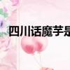 四川話魔芋是什么意思（魔芋是什么意思）