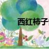西紅柿子醬的做法（柿子醬的做法）
