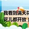 我看到滿天花兒都開放特效原版（我看到滿天花兒都開放）