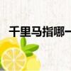 千里馬指哪一類人（千里馬指什么樣的人）